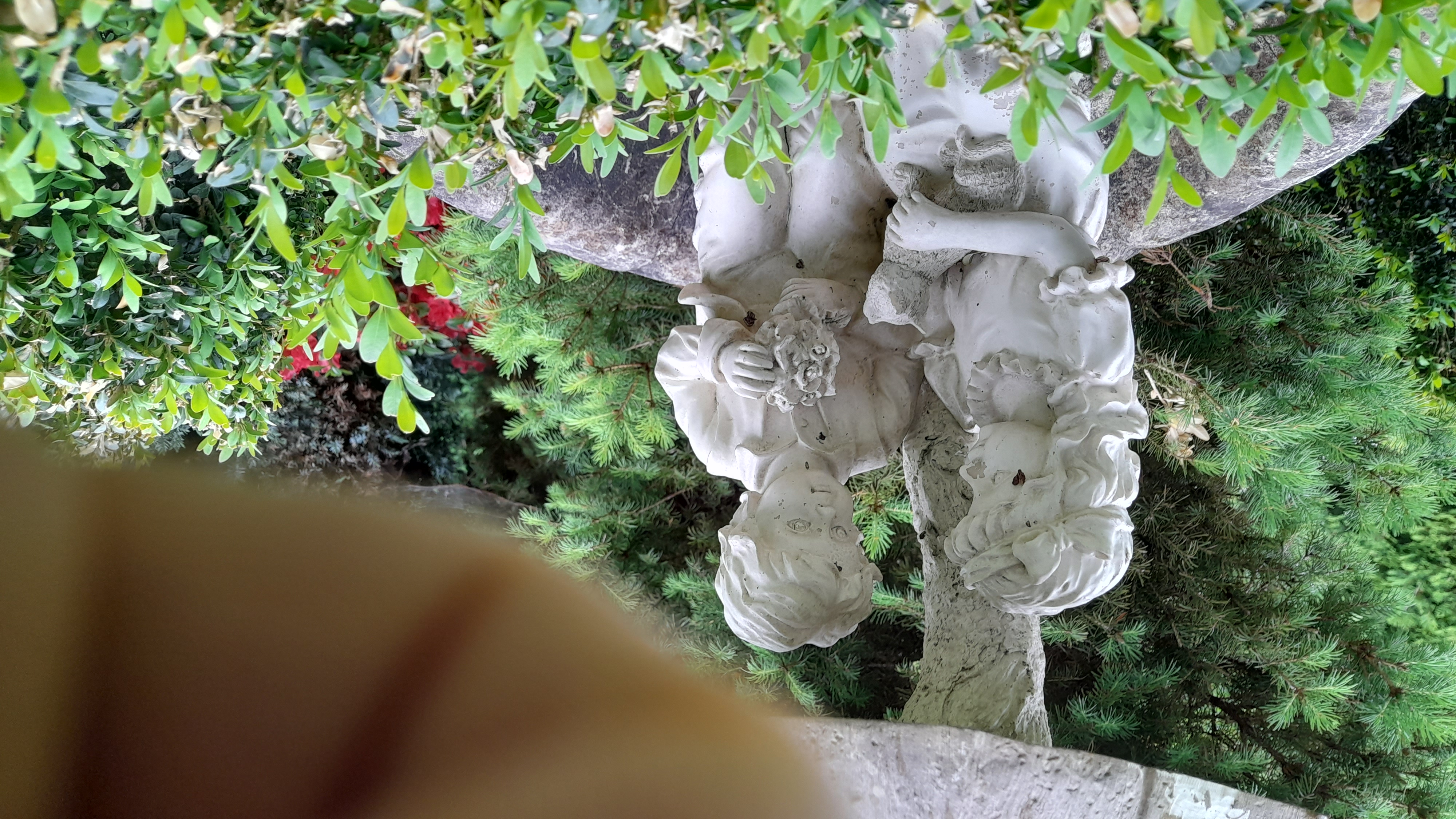 Mein Garten im Mai 2024